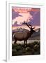 Steamboat Springs, Colorado - Elk and Sunset-Lantern Press-Framed Art Print