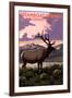 Steamboat Springs, Colorado - Elk and Sunset-Lantern Press-Framed Art Print