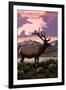 Steamboat Springs, Colorado - Elk and Sunset-Lantern Press-Framed Art Print