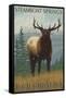 Steamboat Springs, Colorado, Elk Scene-Lantern Press-Framed Stretched Canvas