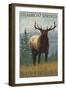 Steamboat Springs, Colorado, Elk Scene-Lantern Press-Framed Art Print