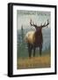 Steamboat Springs, Colorado, Elk Scene-Lantern Press-Framed Art Print