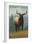 Steamboat Springs, Colorado, Elk Scene-Lantern Press-Framed Art Print