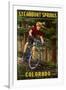 Steamboat Springs, Colorado - Mountain Biker in Trees-Lantern Press-Framed Art Print