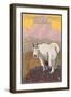 Steamboat Springs, Colorado, Mountain Goat-Lantern Press-Framed Art Print