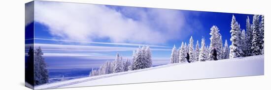 Steamboat Springs, Colorado, USA-null-Stretched Canvas