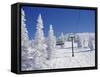 Steamboat Springs, Colorado, USA-null-Framed Stretched Canvas