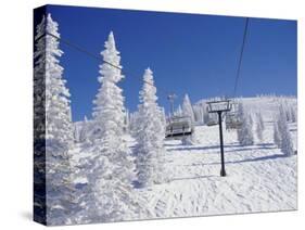 Steamboat Springs, Colorado, USA-null-Stretched Canvas