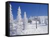 Steamboat Springs, Colorado, USA-null-Framed Stretched Canvas