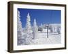 Steamboat Springs, Colorado, USA-null-Framed Premium Photographic Print