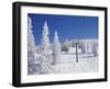 Steamboat Springs, Colorado, USA-null-Framed Premium Photographic Print