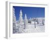 Steamboat Springs, Colorado, USA-null-Framed Premium Photographic Print