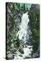 Steamboat Springs, Colorado, View of Fish Creek Falls-Lantern Press-Stretched Canvas