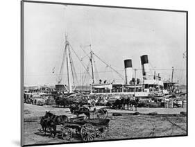 Steamboats Loading Cotton at New Orleans, Louisiana, C.1890 (B/W Photo)-American Photographer-Mounted Giclee Print