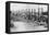 Steamboats-null-Framed Stretched Canvas