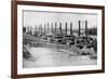 Steamboats-null-Framed Art Print