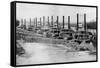 Steamboats-null-Framed Stretched Canvas