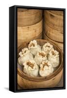 Steamed Dumplings (Steamed Bun or Xiaolongbao), Qibao, Shanghai, China-Jon Arnold-Framed Stretched Canvas