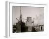 Steamer Loading Grain from Floating Elevator, New Orleans, La.-null-Framed Photo