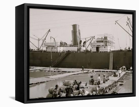 Steamer Loading Hides, New Orleans, La.-null-Framed Stretched Canvas