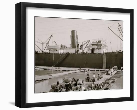 Steamer Loading Hides, New Orleans, La.-null-Framed Photo