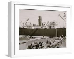 Steamer Loading Hides, New Orleans, La.-null-Framed Photo