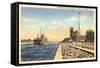 Steamer, Muskegon Harbor, Michigan-null-Framed Stretched Canvas