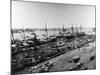 Steamer Ships in Calcutta Harbor-null-Mounted Photographic Print