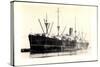 Steamer Suffolk, Broken Up, Guy Domiens-null-Stretched Canvas