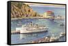 Steamers at Pier, Casino, Catalina, California-null-Framed Stretched Canvas