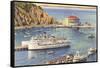 Steamers at Pier, Casino, Catalina, California-null-Framed Stretched Canvas