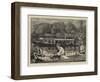 Steaming and Punting, a Sketch Near Cliveden Woods-Francis S. Walker-Framed Giclee Print