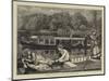 Steaming and Punting, a Sketch Near Cliveden Woods-Francis S. Walker-Mounted Giclee Print