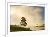 Steaming mist at sunrise along Firehole River, Yellowstone National Park, Wyoming-Adam Jones-Framed Premium Photographic Print