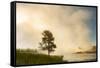 Steaming mist at sunrise along Firehole River, Yellowstone National Park, Wyoming-Adam Jones-Framed Stretched Canvas