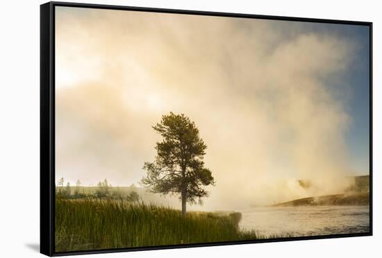 Steaming mist at sunrise along Firehole River, Yellowstone National Park, Wyoming-Adam Jones-Framed Stretched Canvas