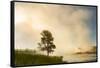 Steaming mist at sunrise along Firehole River, Yellowstone National Park, Wyoming-Adam Jones-Framed Stretched Canvas