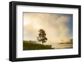 Steaming mist at sunrise along Firehole River, Yellowstone National Park, Wyoming-Adam Jones-Framed Photographic Print