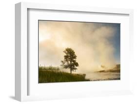Steaming mist at sunrise along Firehole River, Yellowstone National Park, Wyoming-Adam Jones-Framed Photographic Print