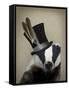 Steampunk Badger in Top Hat-Fab Funky-Framed Stretched Canvas