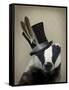 Steampunk Badger in Top Hat-Fab Funky-Framed Stretched Canvas