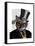 Steampunk Cat - Top Hat and red yellow glasses-Fab Funky-Framed Stretched Canvas