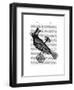 Steampunk Crow-Fab Funky-Framed Art Print