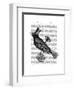 Steampunk Crow-Fab Funky-Framed Art Print