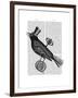 Steampunk Crow-Fab Funky-Framed Art Print