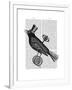 Steampunk Crow-Fab Funky-Framed Art Print