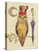 Steampunk Owl I-Elyse DeNeige-Stretched Canvas