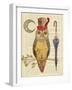 Steampunk Owl I-Elyse DeNeige-Framed Premium Giclee Print