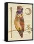 Steampunk Owl II-Elyse DeNeige-Framed Stretched Canvas