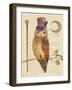 Steampunk Owl II-Elyse DeNeige-Framed Art Print